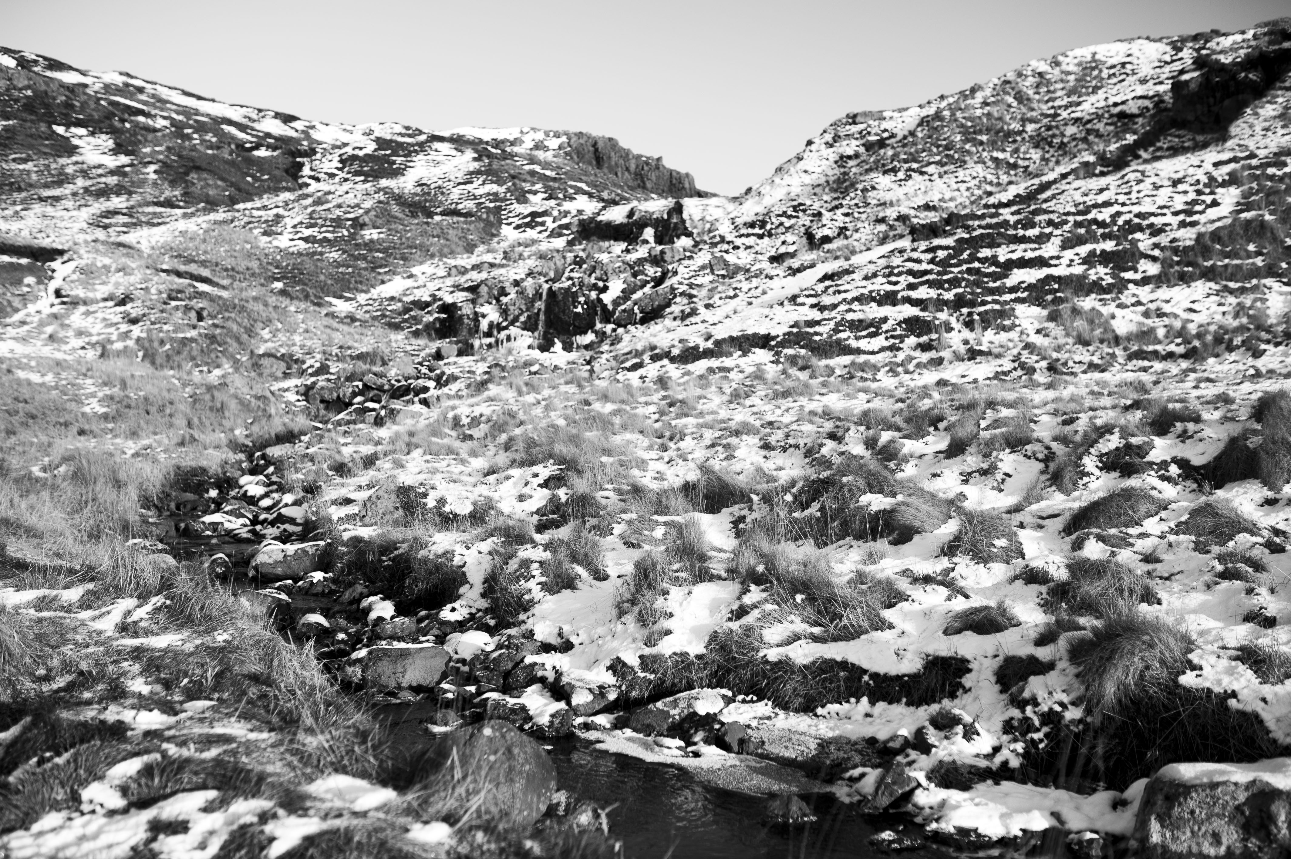 GYT 20220706 073146  DSC6536